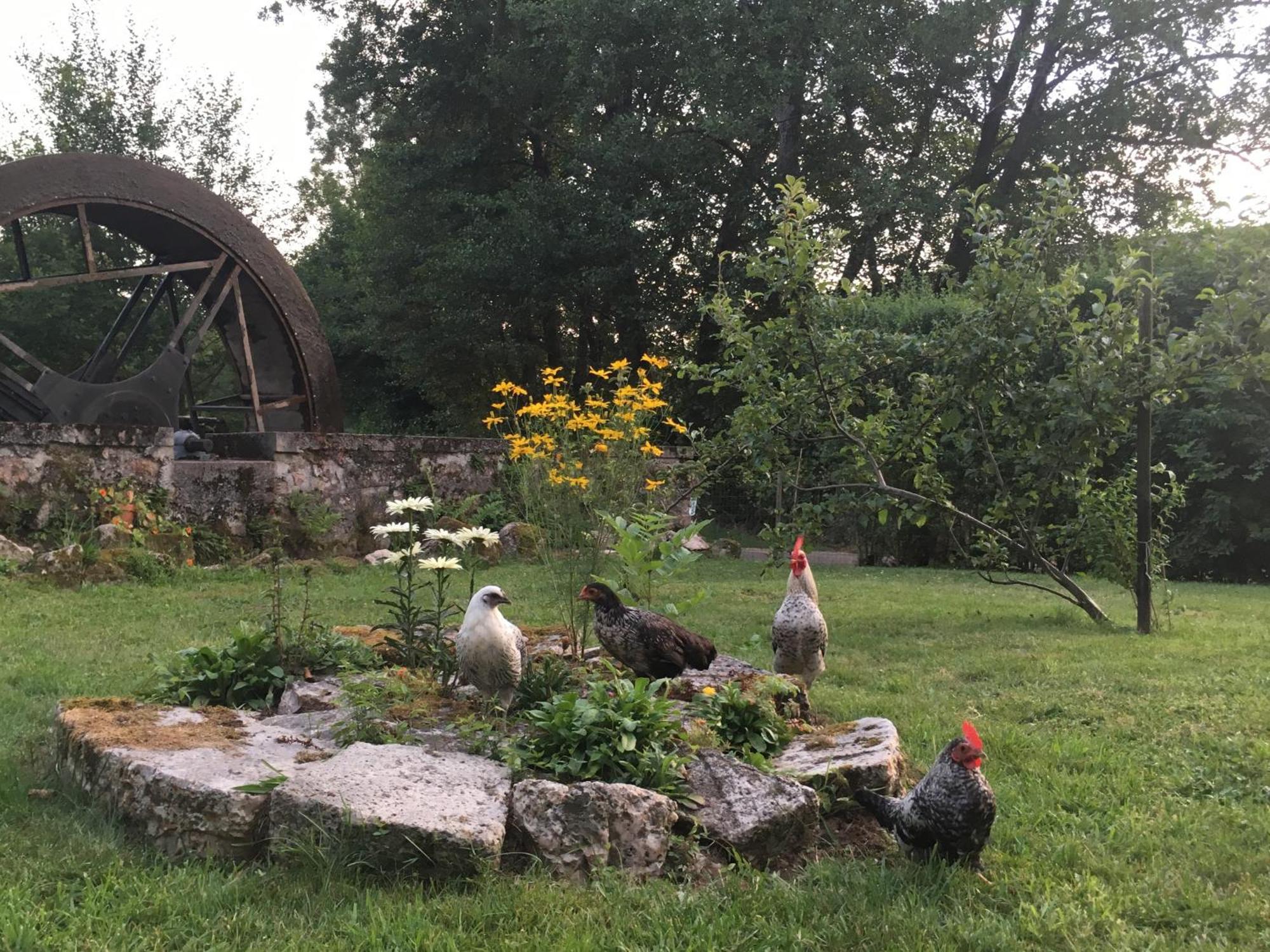 Le Moulin De Razou Bed & Breakfast Brassy Exterior photo